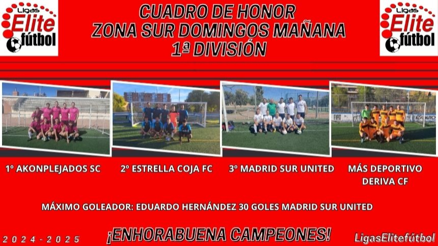 CUADRO DE HONOR. ZONA SUR DOMINGO MAÑANA 1ª DIVISIÓN